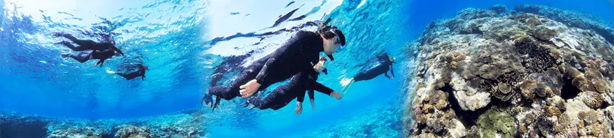 慶良間諸島(本島発)