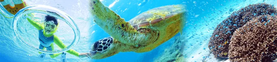 慶良間諸島上陸