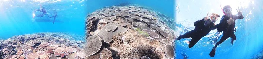 本島北部 『沖縄美ら海水族館』周辺エリア