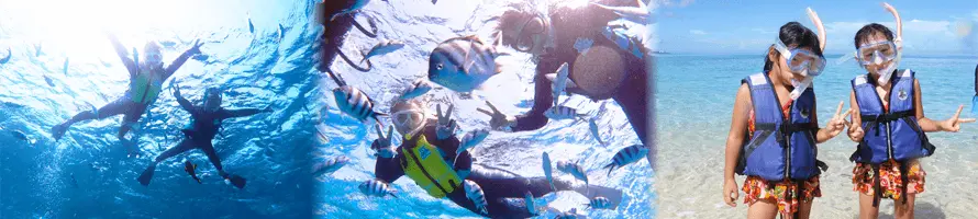 本島西海岸 リゾートエリア