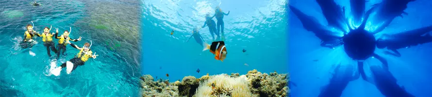 本島中南部 那覇近郊エリア