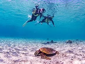 沖縄シュノーケリング2