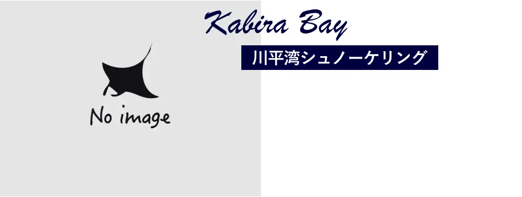 川平湾シュノーケリング