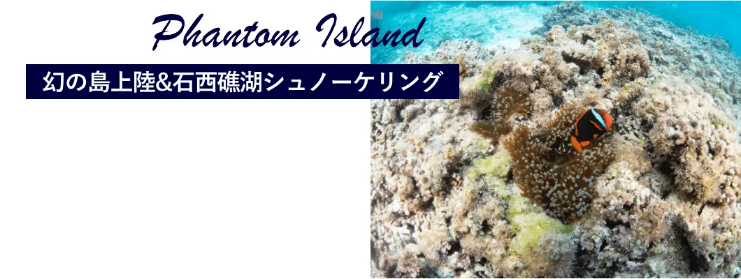 幻の島上陸＆石西礁湖シュノーケリング
