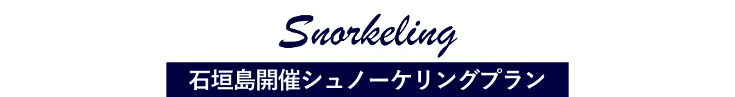 石垣島開催シュノーケリングプラン