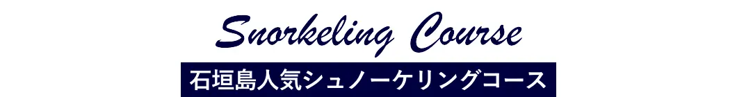 石垣島人気シュノーケリングコース