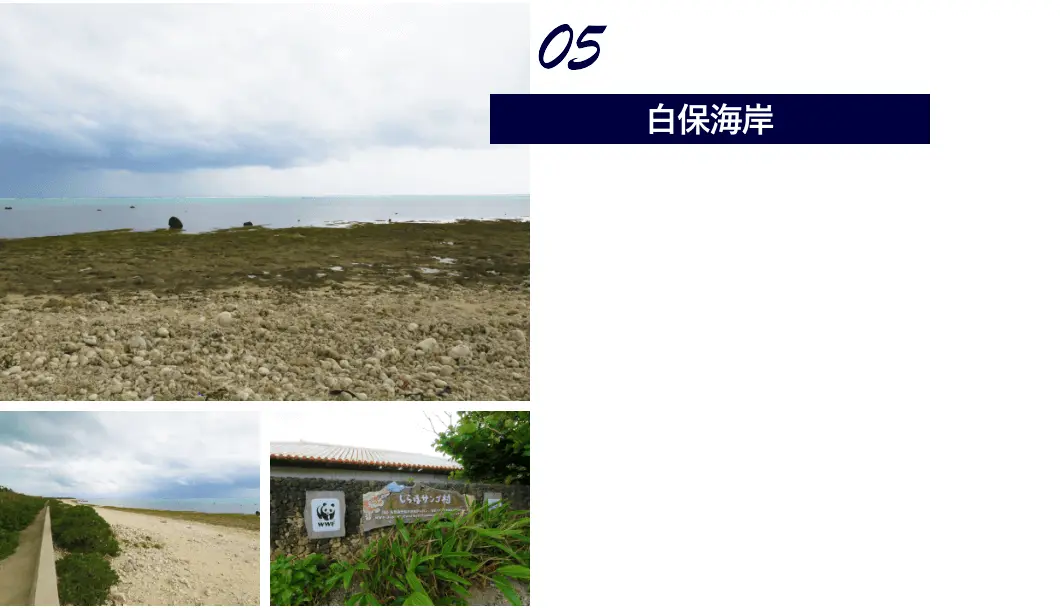 白保海岸
