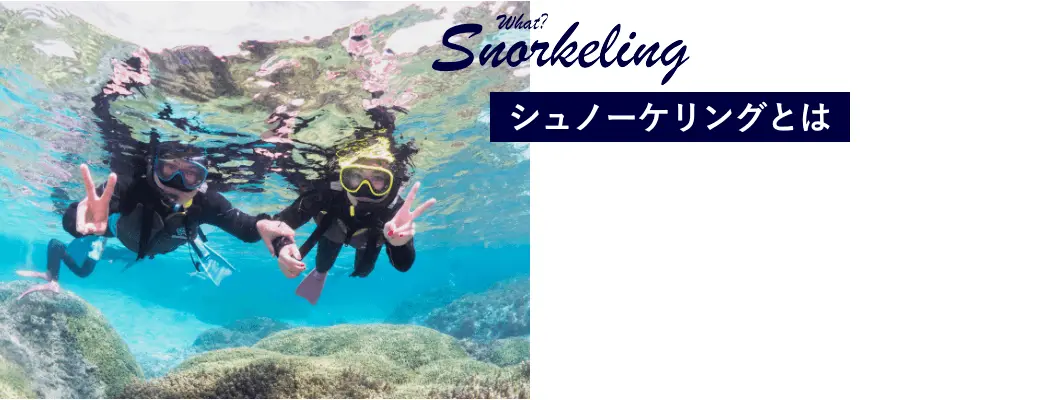 シュノーケリングとは