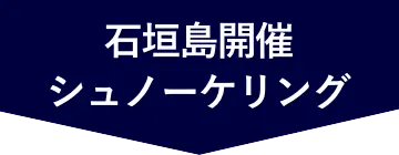 マンタとサンゴと青の洞窟 石垣島シュノーケリング