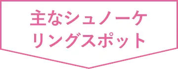 主なシュノーケリングスポット