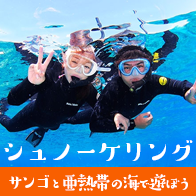 沖縄シュノーケリング
