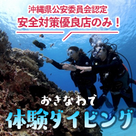 沖縄体験ダイビング