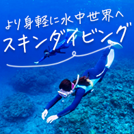 沖縄スキンダイビング