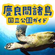 慶良間諸島ガイド