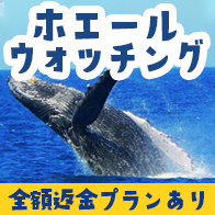 沖縄ホエールウォッチング