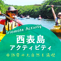 西表島アクティビティ