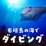 石垣島ダイビング