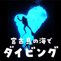 宮古島ダイビング