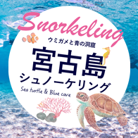 宮古島シュノーケリング