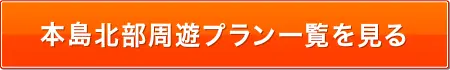 本島北部周遊プラン一覧を見る