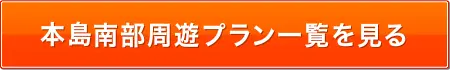 本島南部周遊プラン一覧を見る