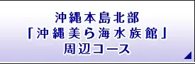 沖縄本島北部「沖縄美ら海水族館」周辺コース