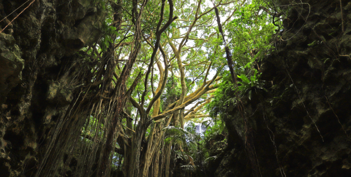 ガンガラーの谷