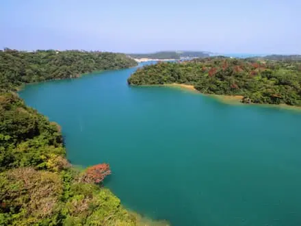 北部 観光 バス