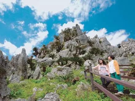 沖縄バスツアー 大石林山