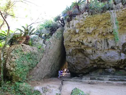 沖縄 定期 観光 バス