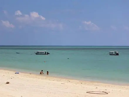 沖縄 定期観光バス 半日