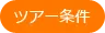 ツアー条件