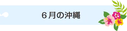 6月の沖縄