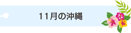 11月の沖縄