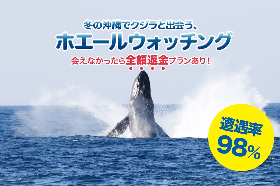沖縄ホエールウォッチング