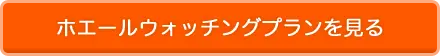 ホエールウォッチングプランを見る
