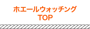 ホエールウォッチングTOP
