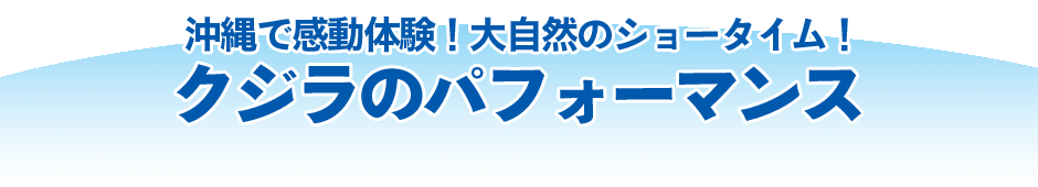 クジラのパフォーマンス