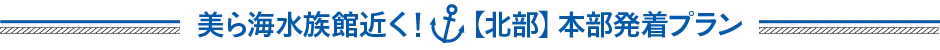 美ら海水族館近く！【北部】本部発着プラン