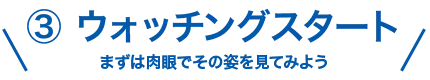 ウォッチングスタート