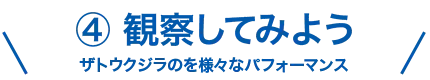 観察してみよう