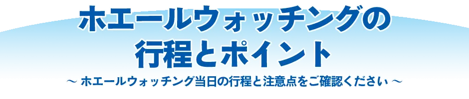 沖縄ホエールウォッチングの行程とポイント