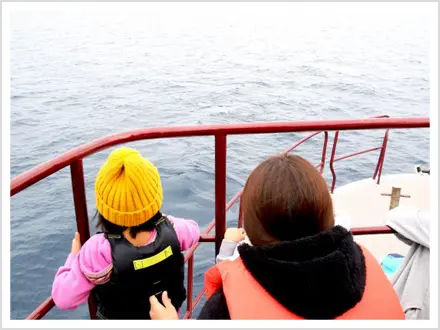 ③ウォッチングスタート