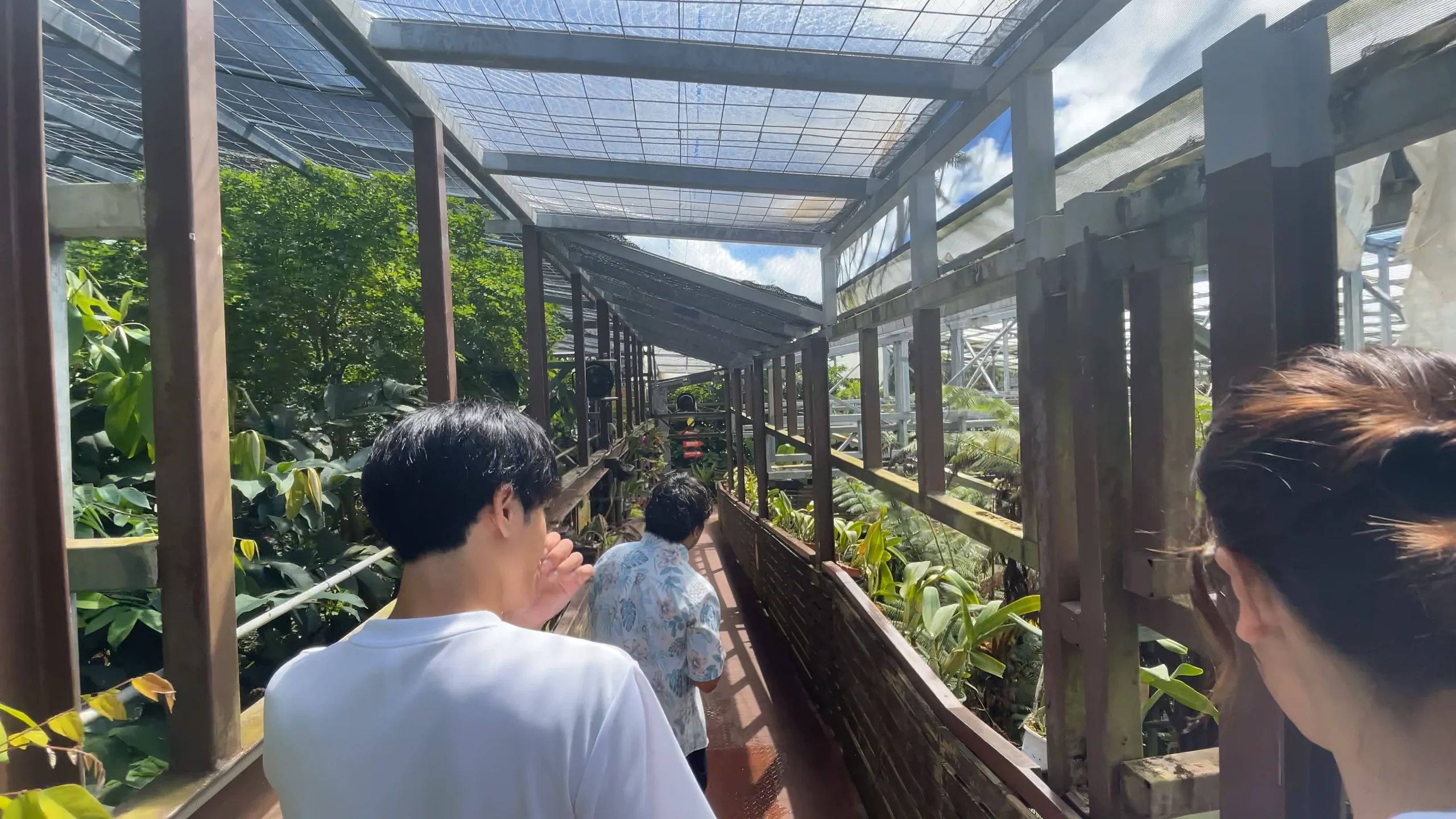 空中遊歩道アナナスガーデン。なだらかなスロープになっており、ベビーカーや車椅子でも安心