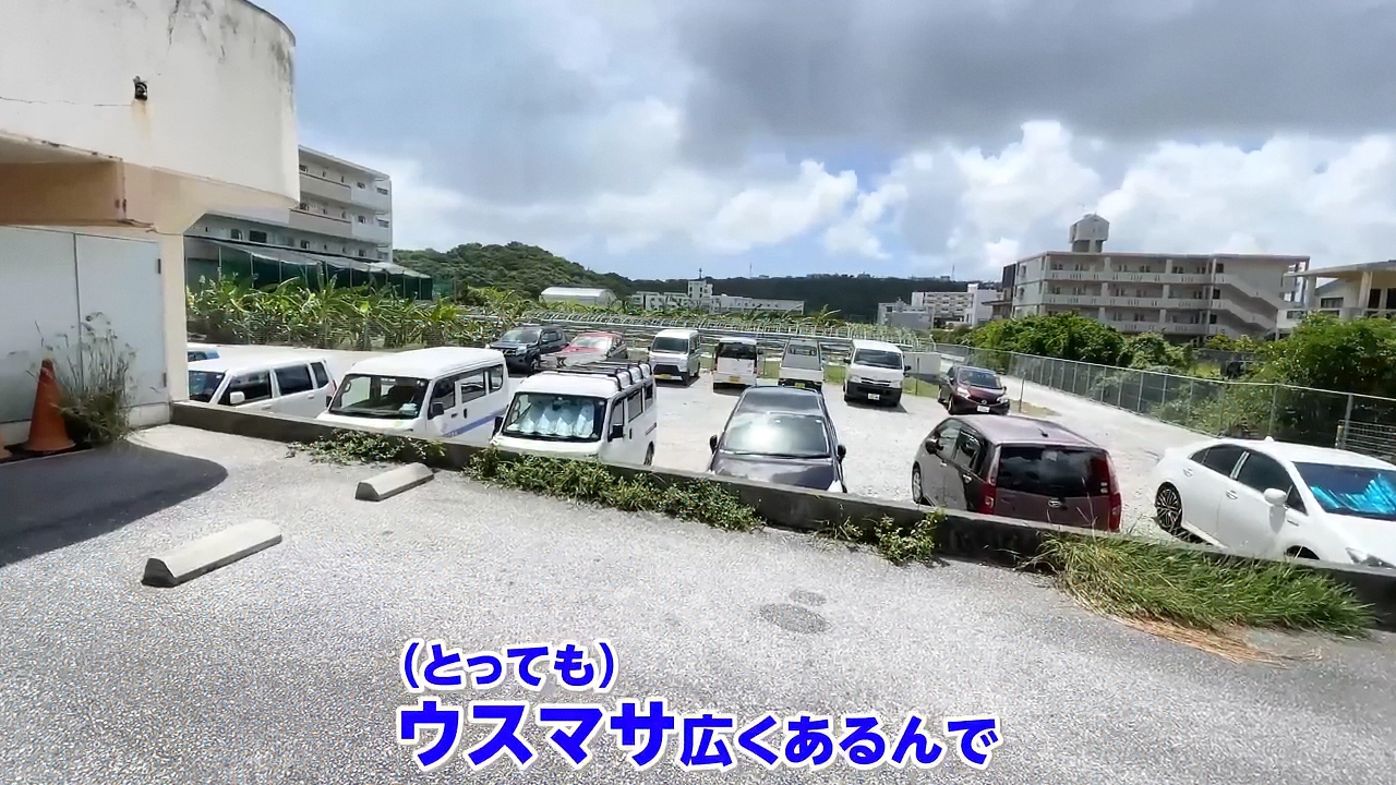 まんぷく食堂の広々とした駐車場。大型車やレンタカーも安心して停められる