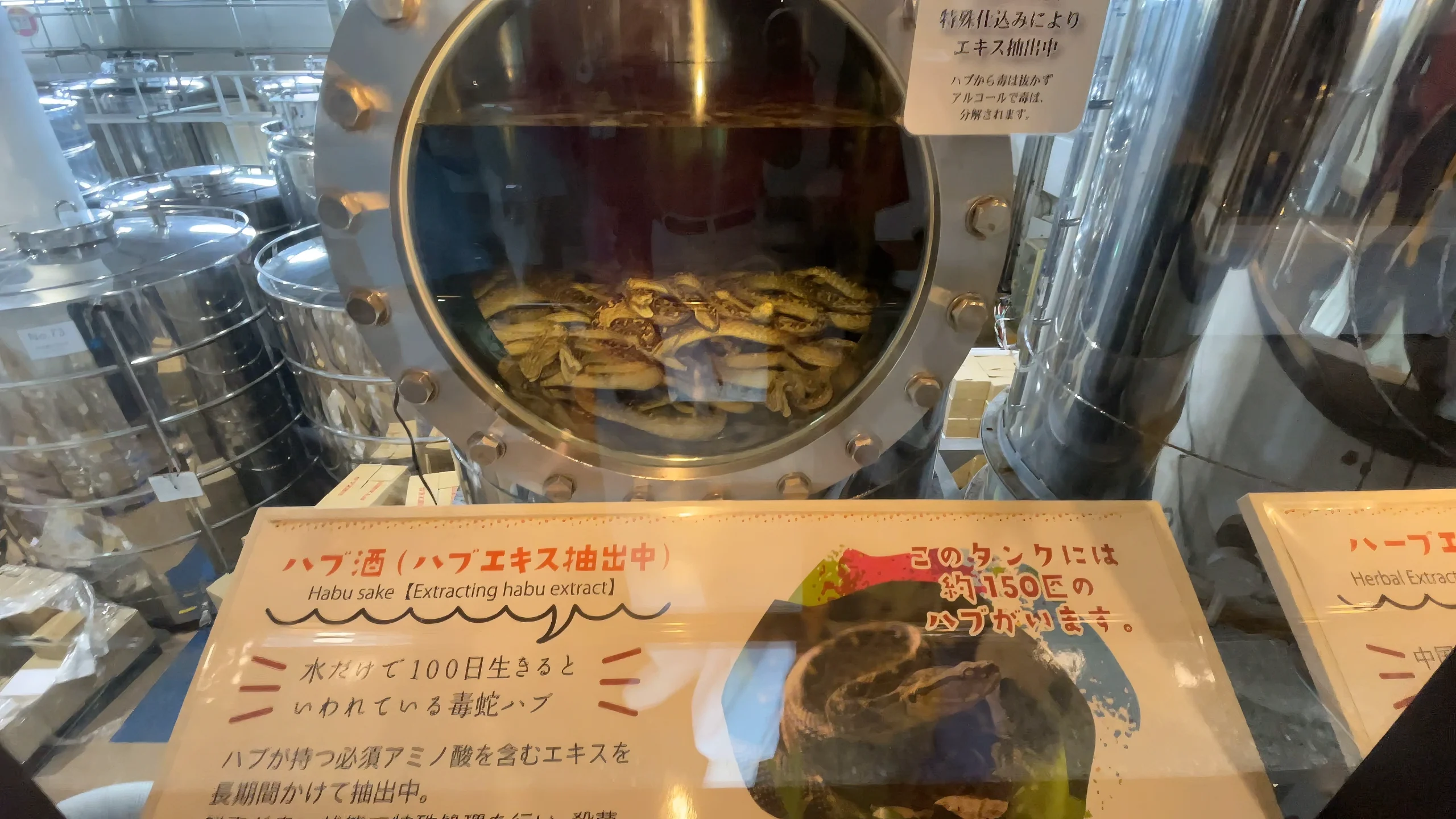 150匹のハブが浸かる巨大なタンクがある南都酒造所