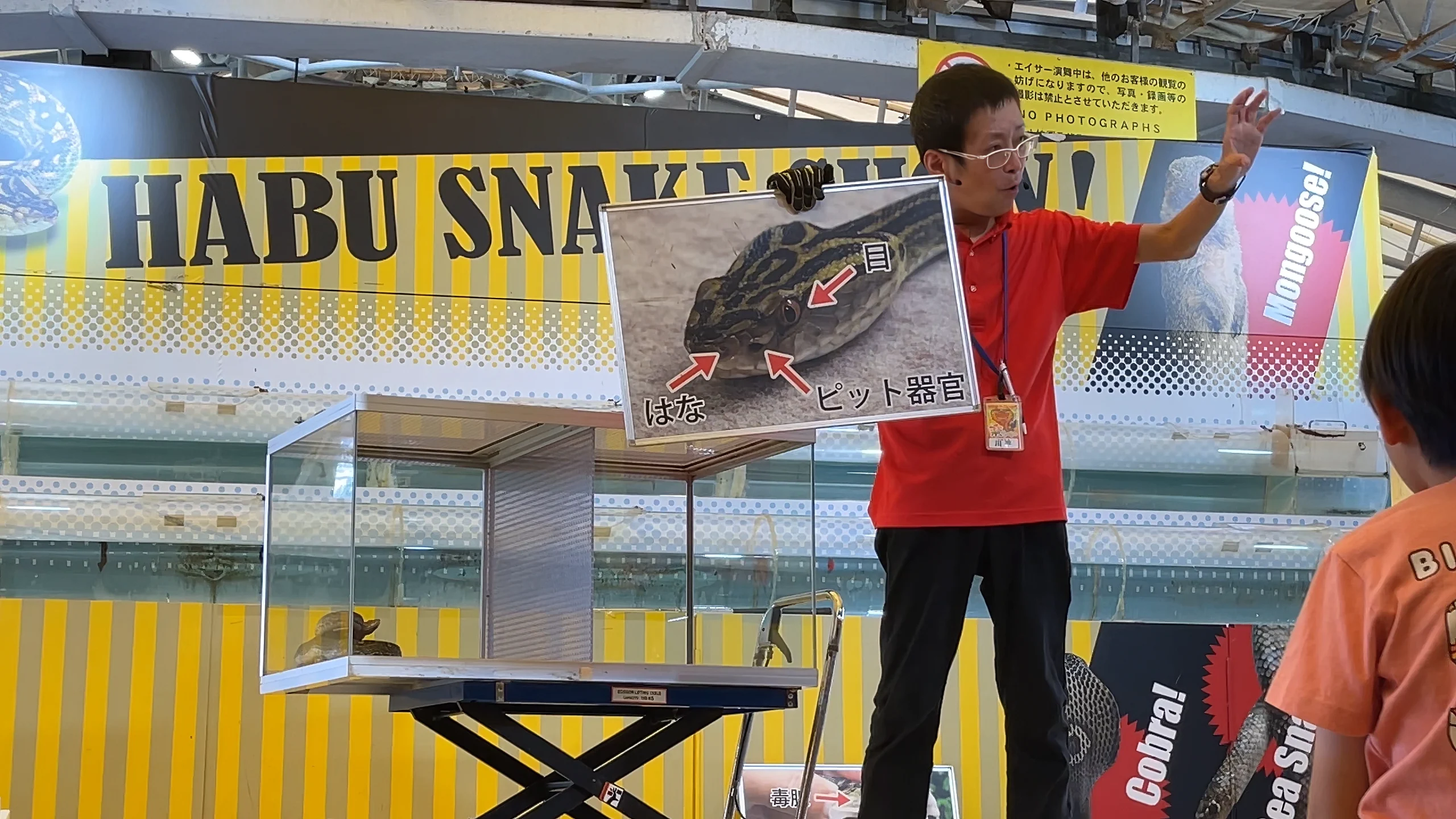 おきなわワールドでの充実した1日を振り返る様子