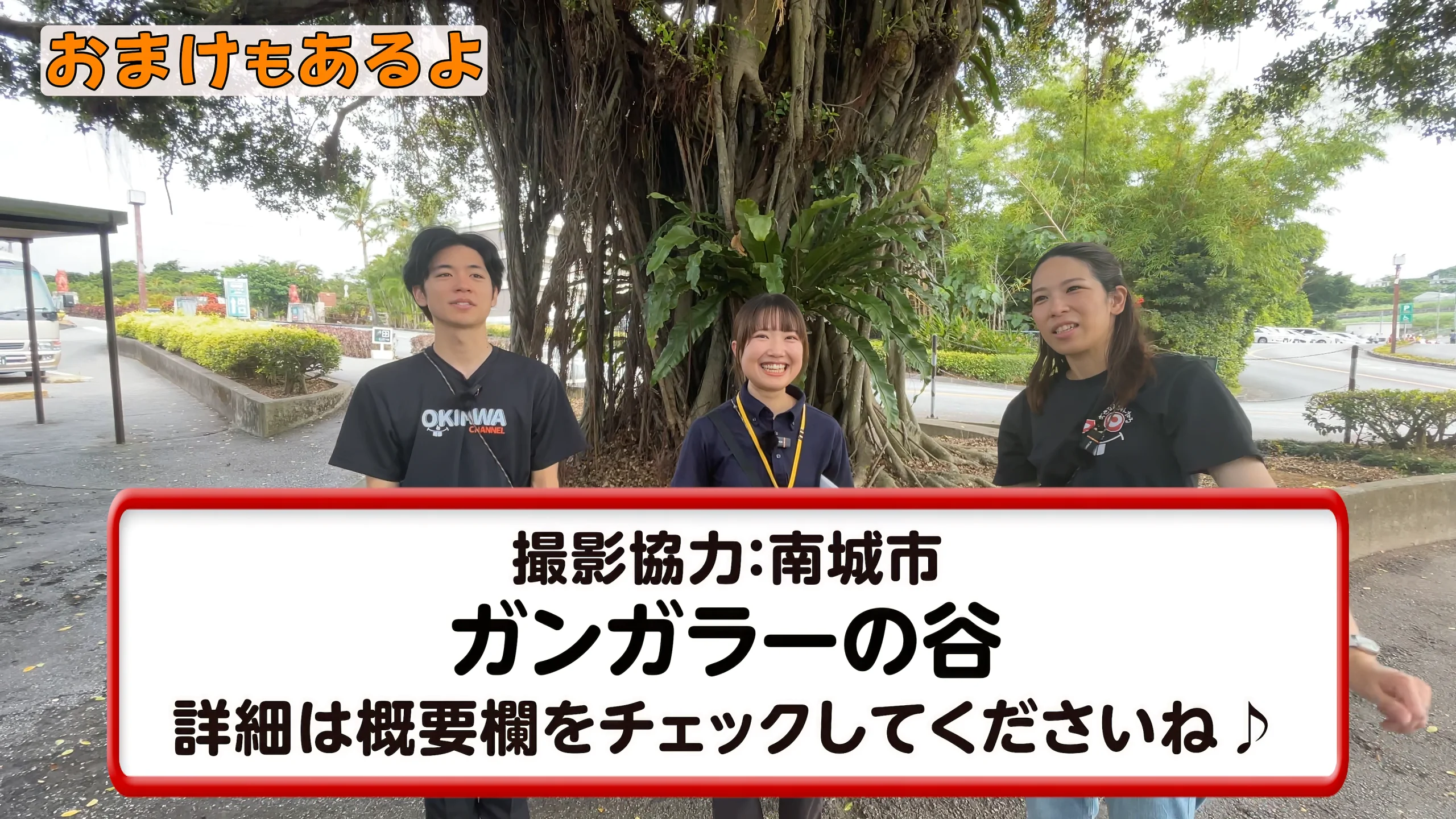 神秘的なガンガラーの谷の絶景