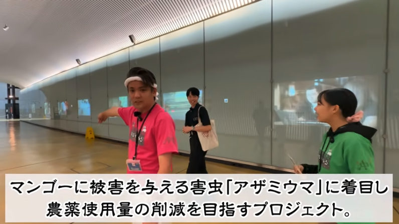 マンゴーアザミウマプロジェクト