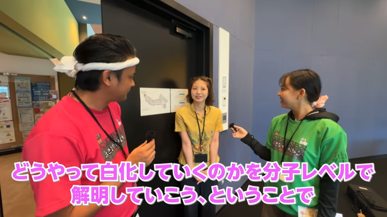 珊瑚の白化の解明